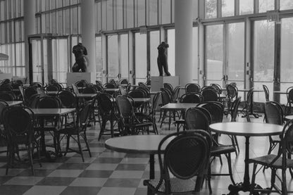 Kodak Tri-X 400 120 Black and White Film