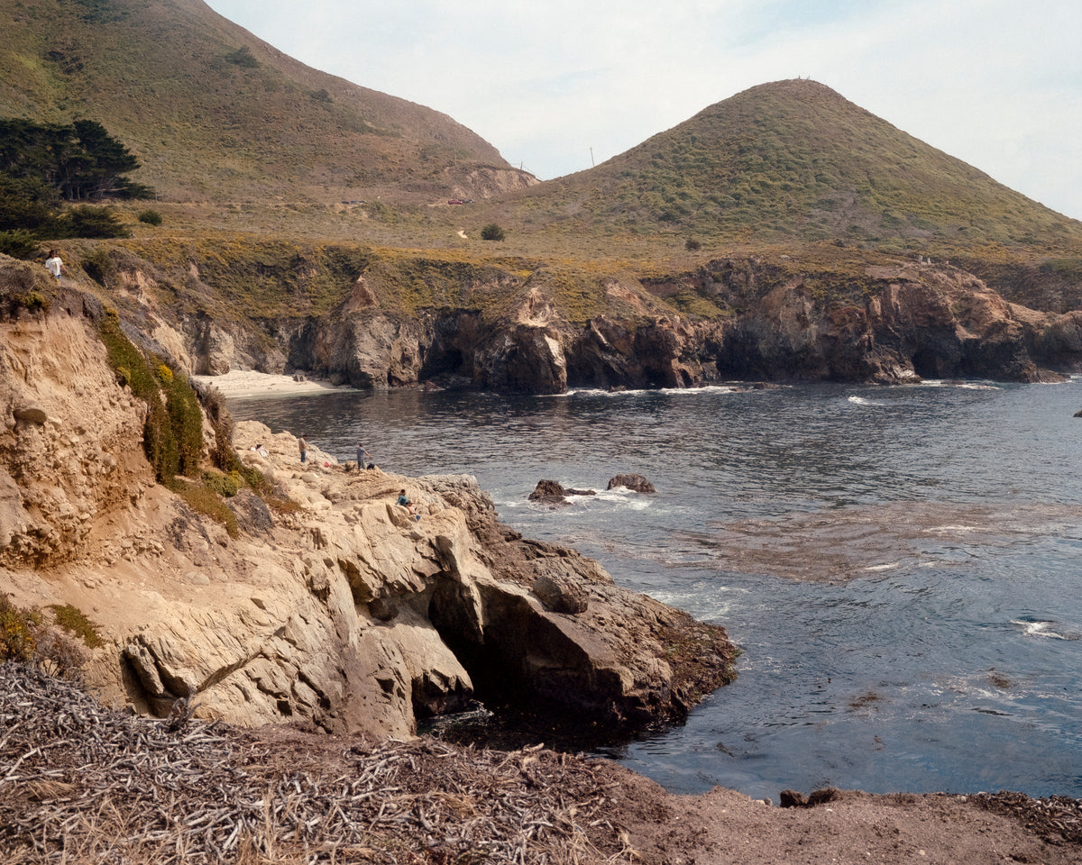 Kodak Ektacolor Pro 400 Color Negative Film (35mm Roll Film, 36 Exposures)