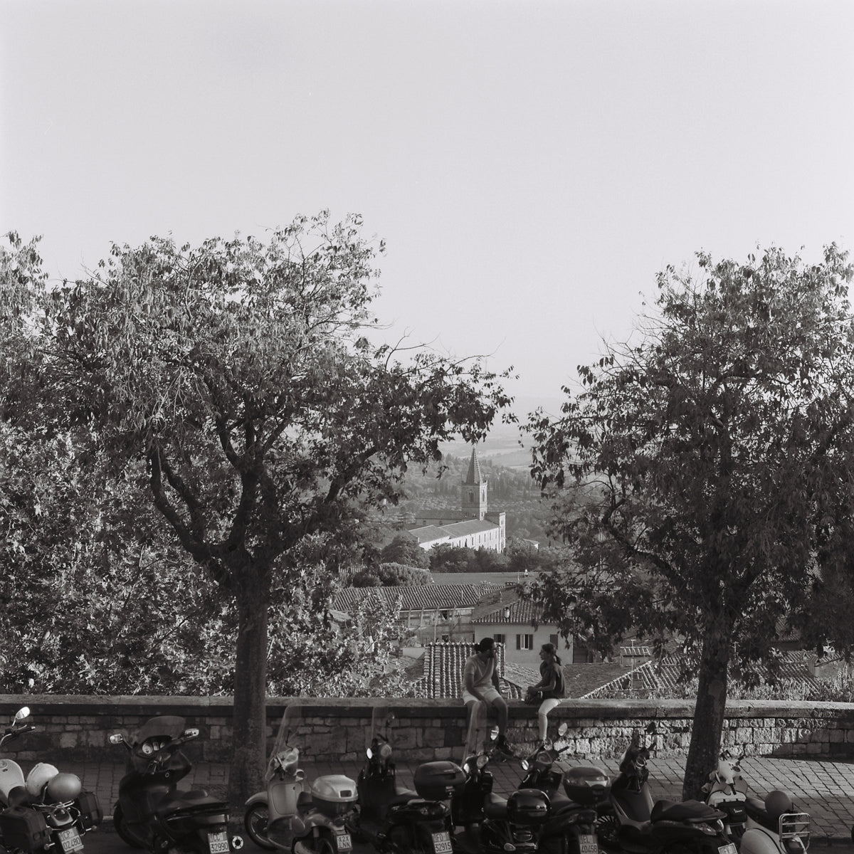 B&W Film Develop + Scan [35mm & 120]