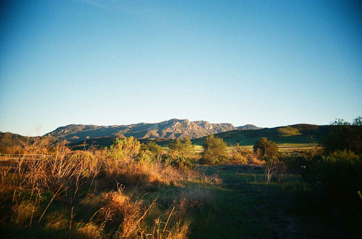 Kodak Ultra Max 400 35mm Color Film