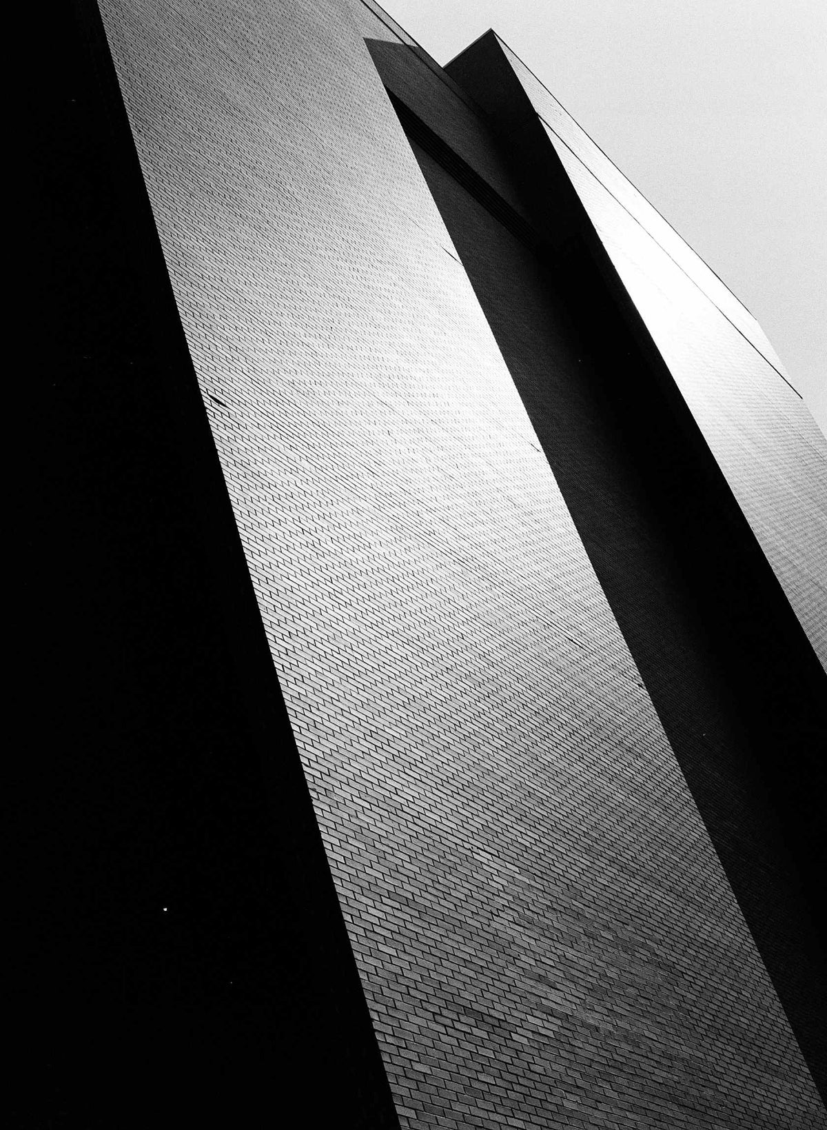 Kodak Tri-X 400 120 Black and White Film